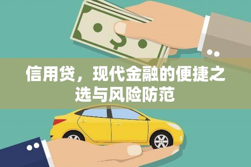 正阳信用贷，现代金融的便捷之选与风险防范