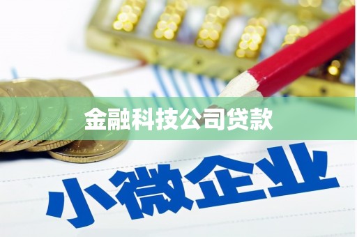 正阳金融科技公司贷款