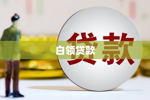 正阳白领贷款