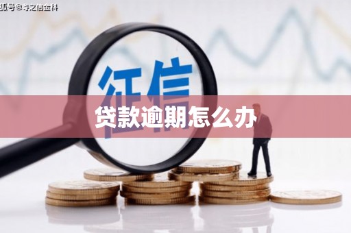 正阳贷款逾期怎么办