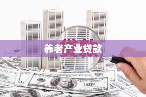 正阳养老产业贷款