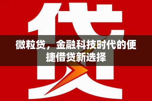 正阳微粒贷，金融科技时代的便捷借贷新选择