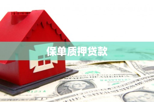 正阳保单质押贷款
