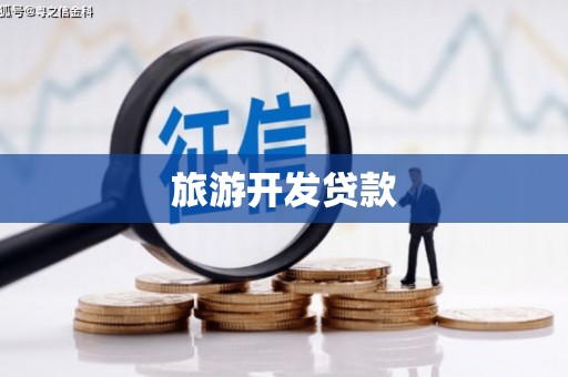 正阳旅游开发贷款