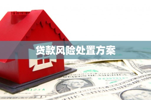 正阳贷款风险处置方案