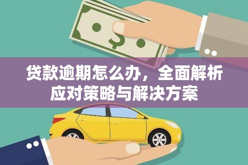 正阳贷款逾期怎么办，全面解析应对策略与解决方案