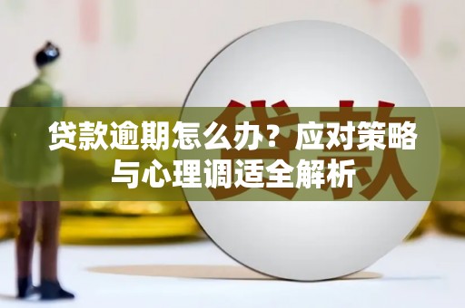 正阳贷款逾期怎么办？应对策略与心理调适全解析