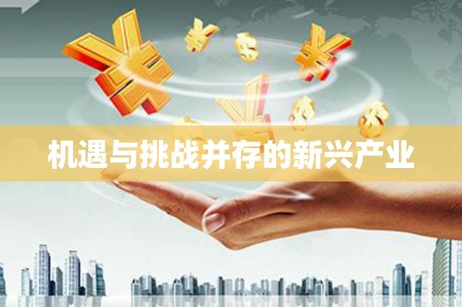 正阳机遇与挑战并存的新兴产业