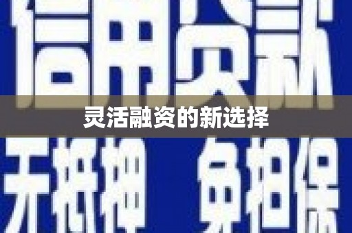 正阳灵活融资的新选择