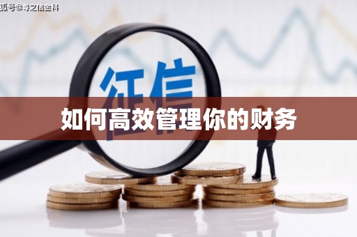 正阳如何高效管理你的财务