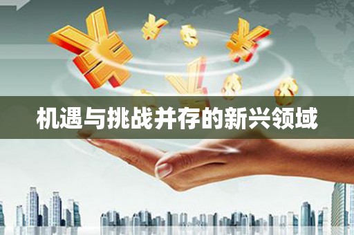 正阳机遇与挑战并存的新兴领域