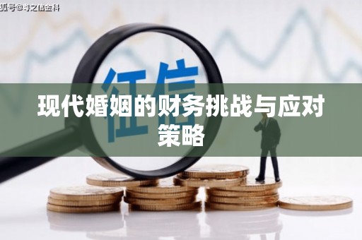 正阳现代婚姻的财务挑战与应对策略