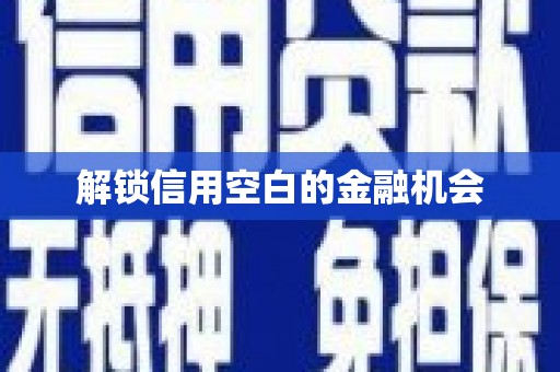 正阳解锁信用空白的金融机会