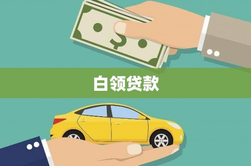 正阳白领贷款