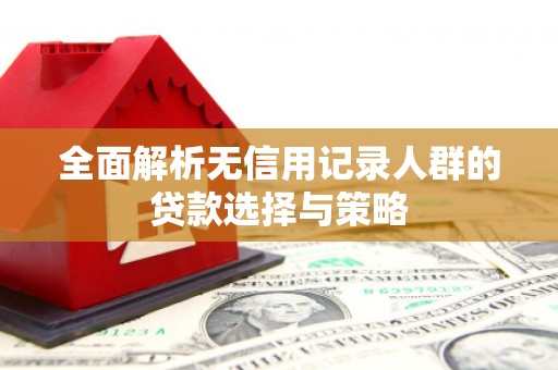 正阳全面解析无信用记录人群的贷款选择与策略