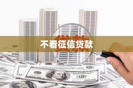 正阳不看征信贷款