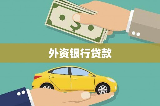 正阳外资银行贷款