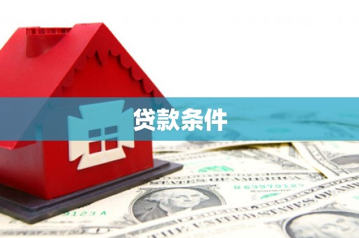正阳贷款条件