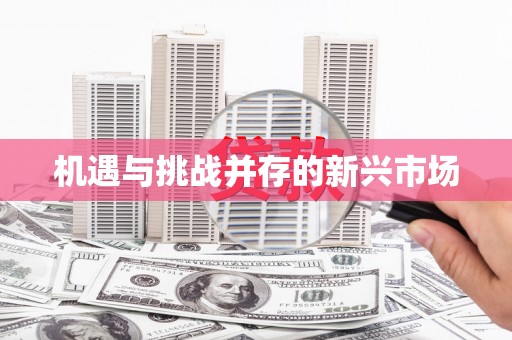 正阳机遇与挑战并存的新兴市场