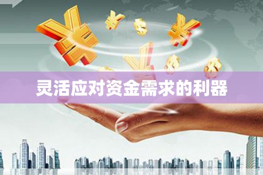 正阳灵活应对资金需求的利器