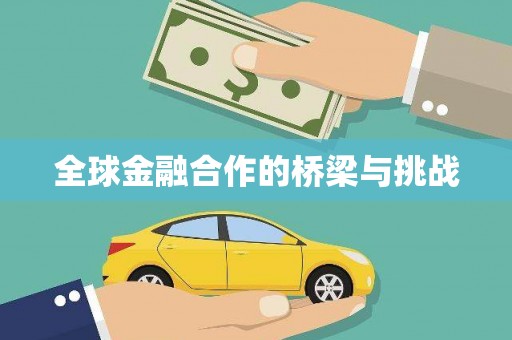 正阳全球金融合作的桥梁与挑战