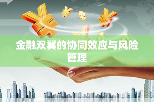 正阳金融双翼的协同效应与风险管理