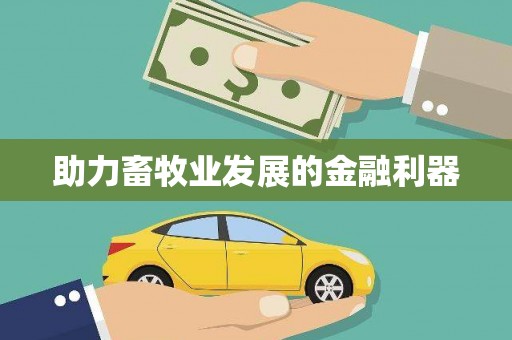 正阳助力畜牧业发展的金融利器