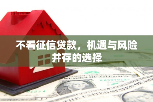 正阳不看征信贷款，机遇与风险并存的选择