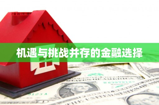 正阳机遇与挑战并存的金融选择