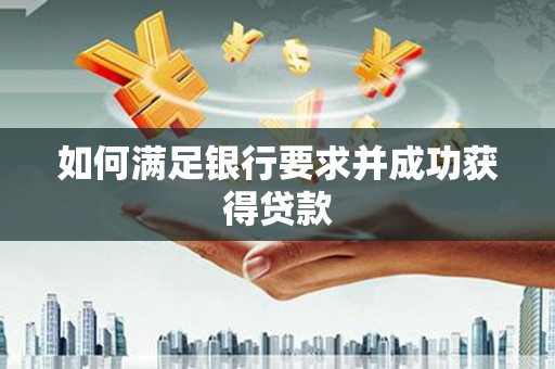 正阳如何满足银行要求并成功获得贷款