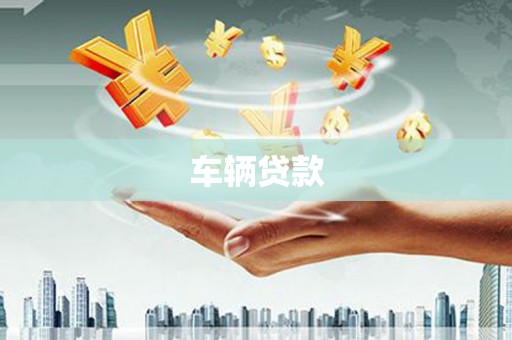 正阳车辆贷款