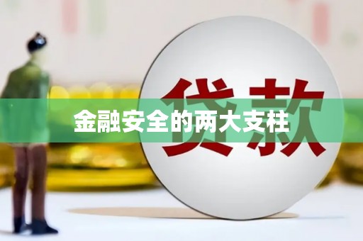 正阳金融安全的两大支柱
