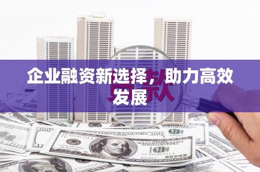 正阳企业融资新选择，助力高效发展