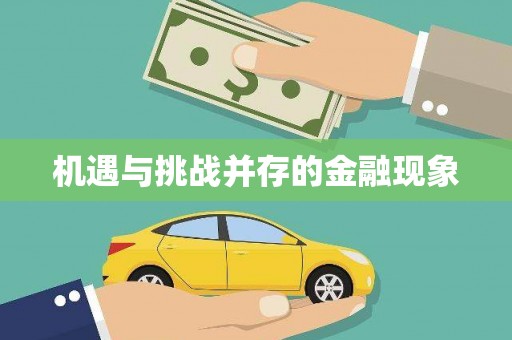 正阳机遇与挑战并存的金融现象