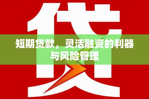 正阳短期贷款，灵活融资的利器与风险管理