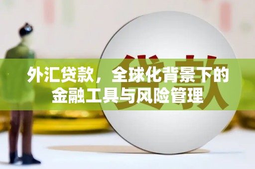 正阳外汇贷款，全球化背景下的金融工具与风险管理