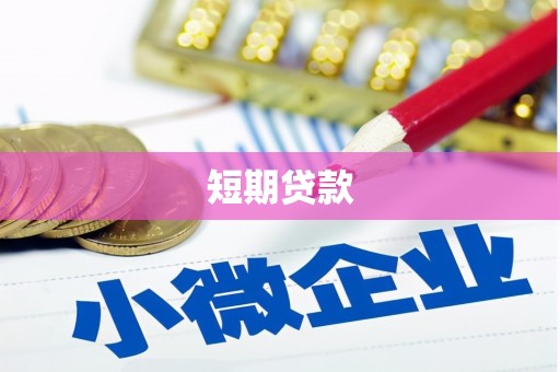正阳短期贷款