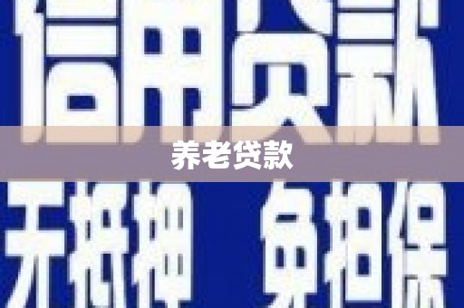 正阳养老贷款