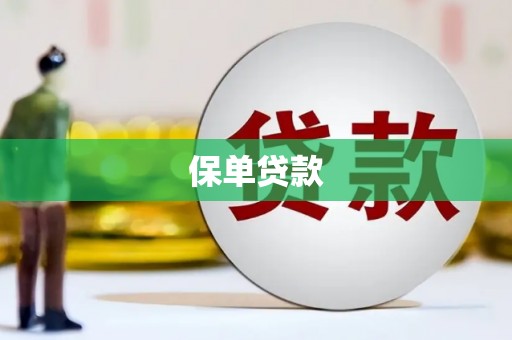 正阳保单贷款